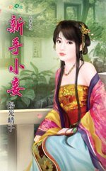 新手小妾(小妾村之一)